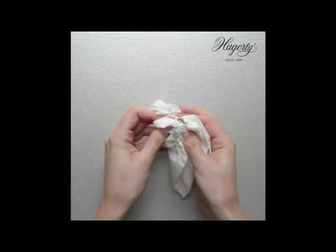 hagerty.at präsentiert HAGERTY SILVER CLEAN PROFESSIONAL und HAGERTY SILVER CLOTH