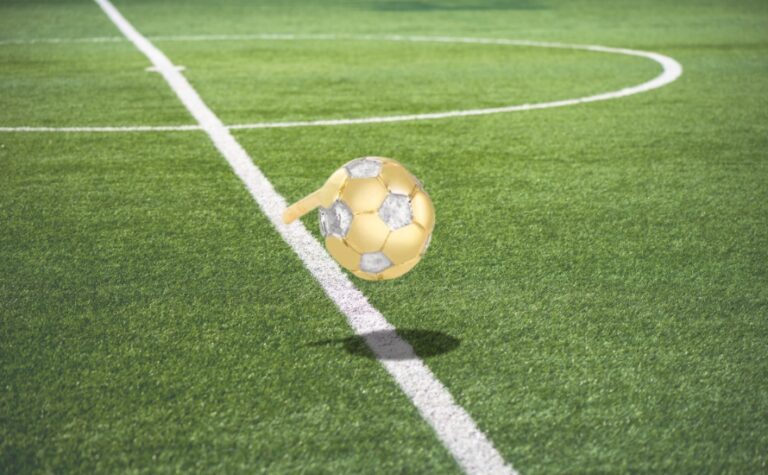 Banner Fussball Ohrstecker