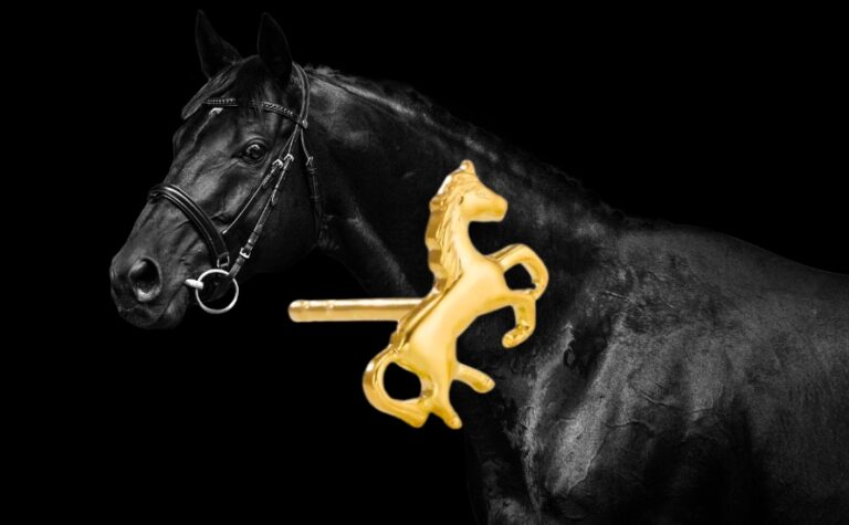 Pferde Ohrstecker in Gold