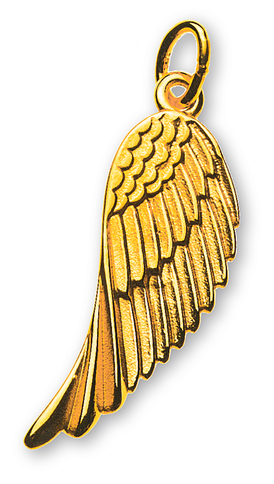 Engelsflügel Anhänger Gelbgold